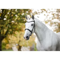 Horseware Hoofdstel Cavesson Zwart