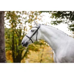 Horseware Hoofdstel Cavesson Zwart