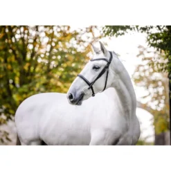 Horseware Hoofdstel Cavesson Zwart