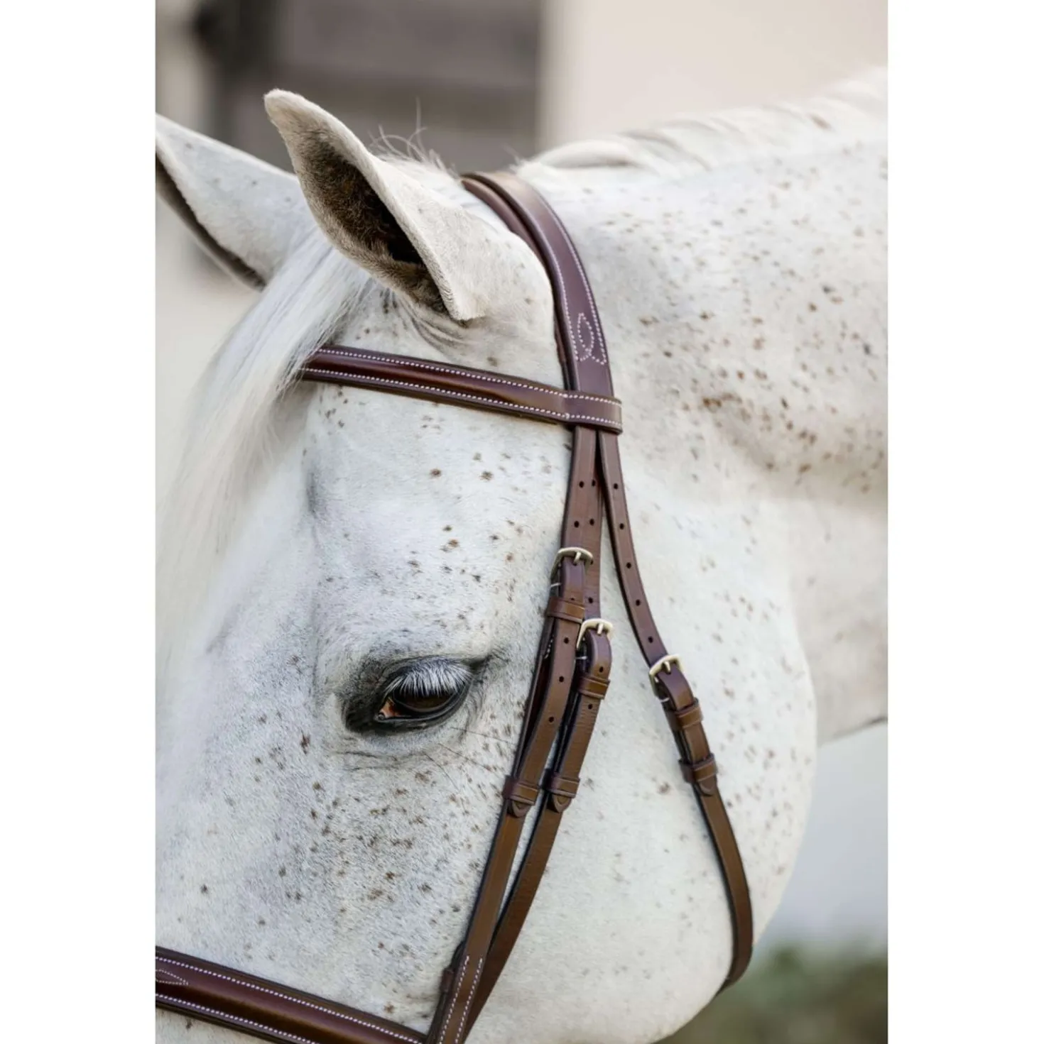 Horseware Hoofdstel Hunter Cavesson met Teugels Dark Tan