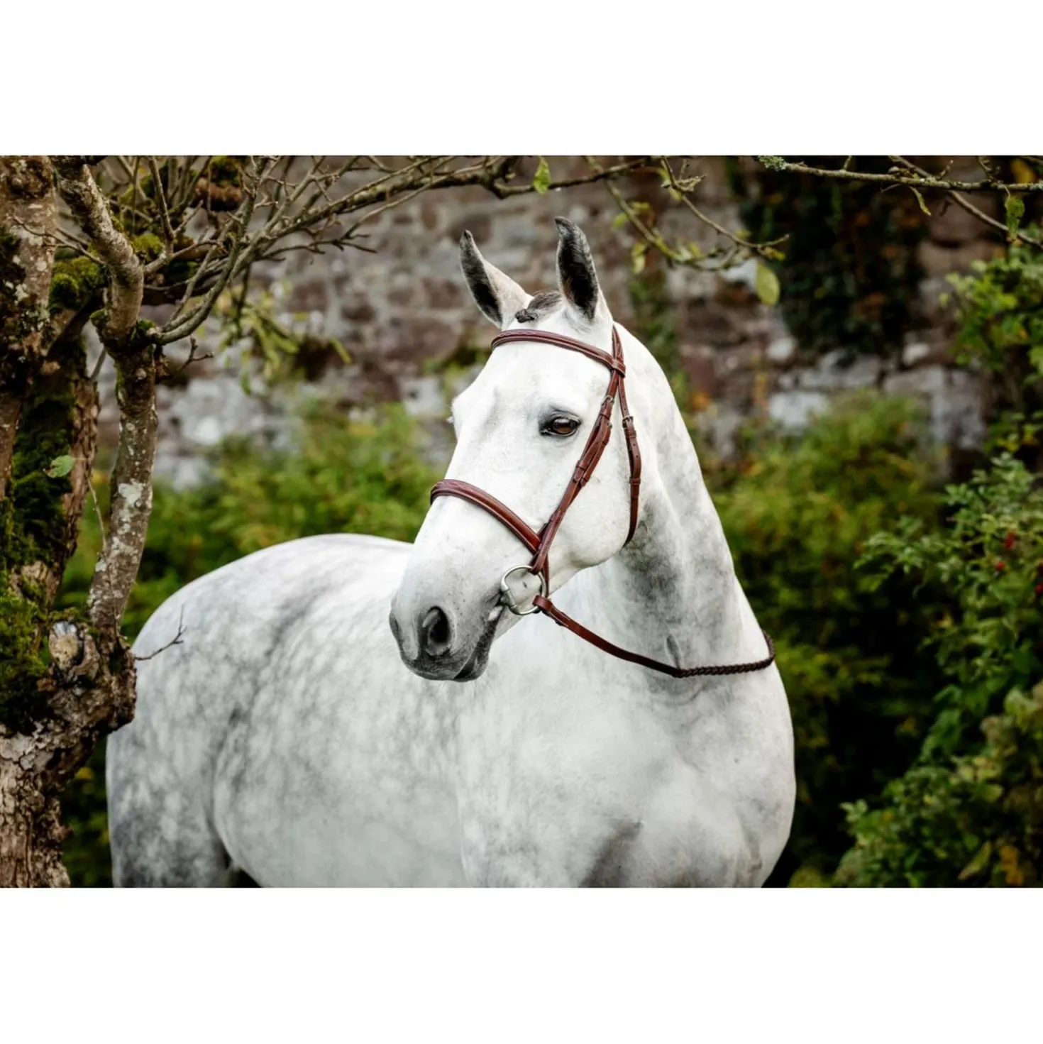 Horseware Hoofdstel Hunter Cavesson met Teugels Dark Tan