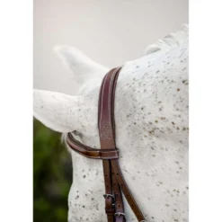 Horseware Hoofdstel Hunter Cavesson met Teugels Dark Tan