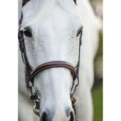 Horseware Hoofdstel Hunter Cavesson met Teugels Dark Tan