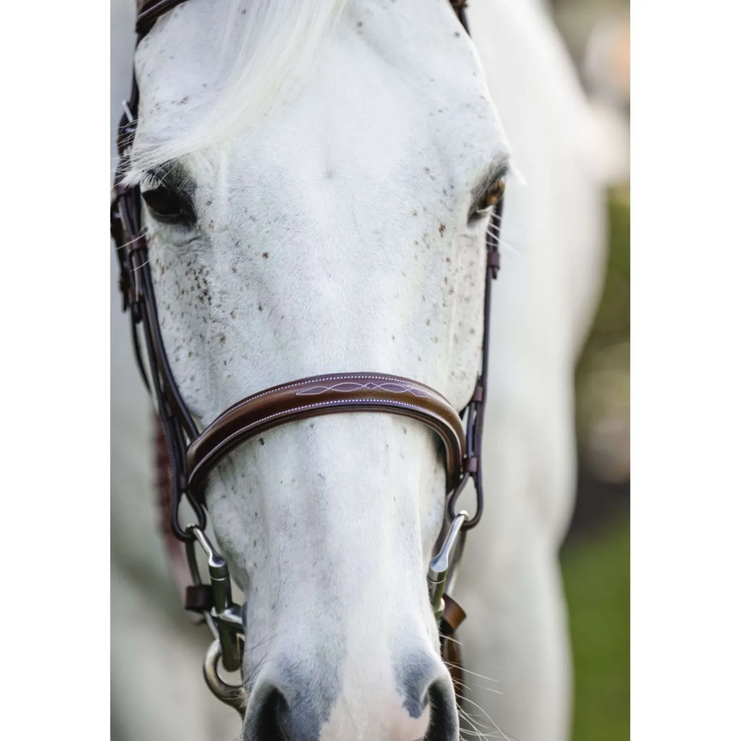 Horseware Hoofdstel Hunter Cavesson met Teugels Dark Tan