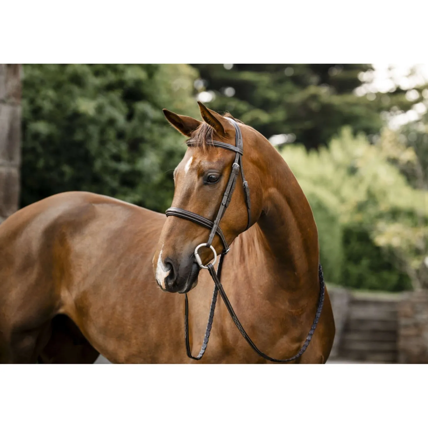 Horseware Hoofdstel Hunter Havana Brown
