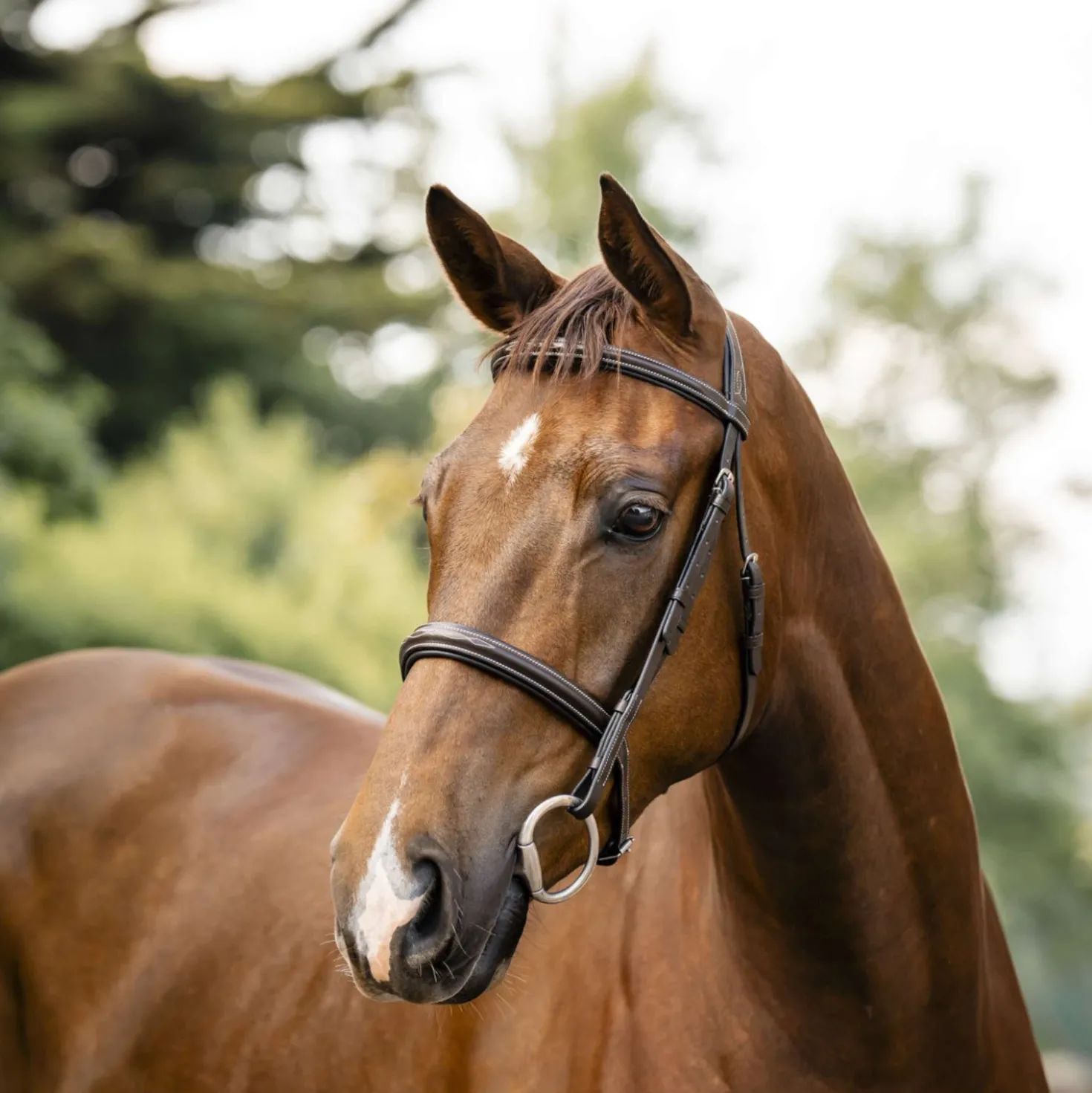 Horseware Hoofdstel Hunter Havana Brown