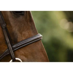 Horseware Hoofdstel Hunter Havana Brown