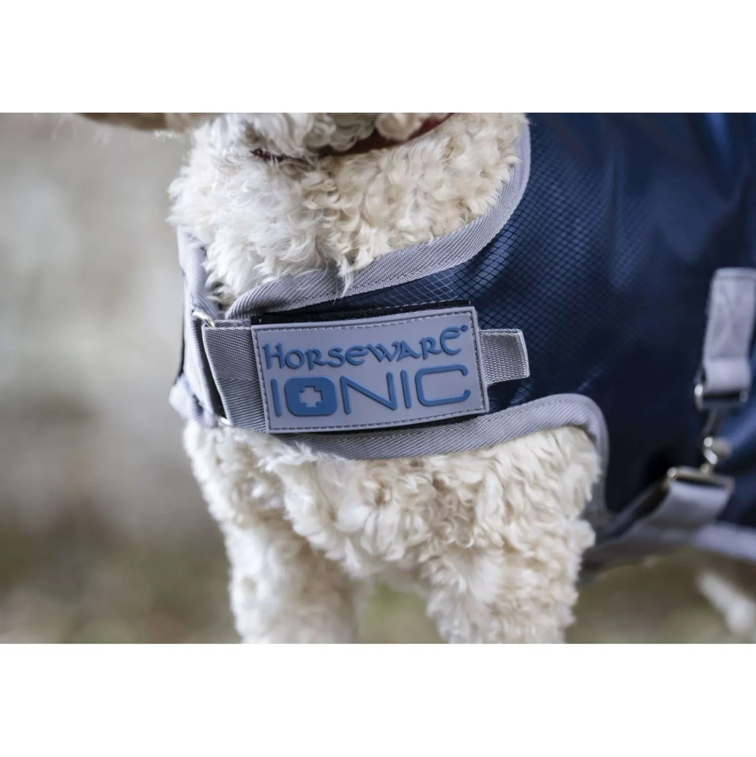 Horseware Ionic Therapy Dog Coat 50g Imperial Blue/Silver/Navy