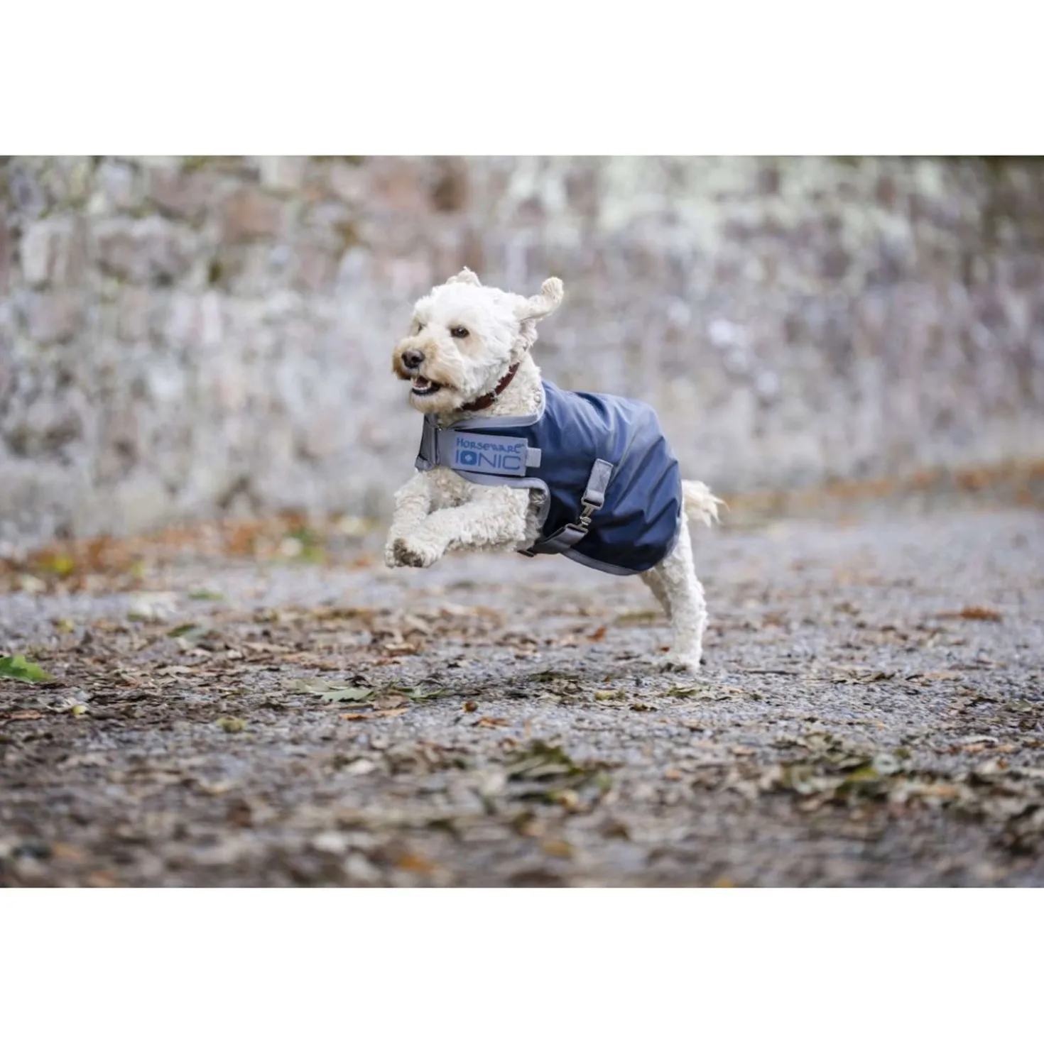 Horseware Ionic Therapy Dog Coat 50g Imperial Blue/Silver/Navy