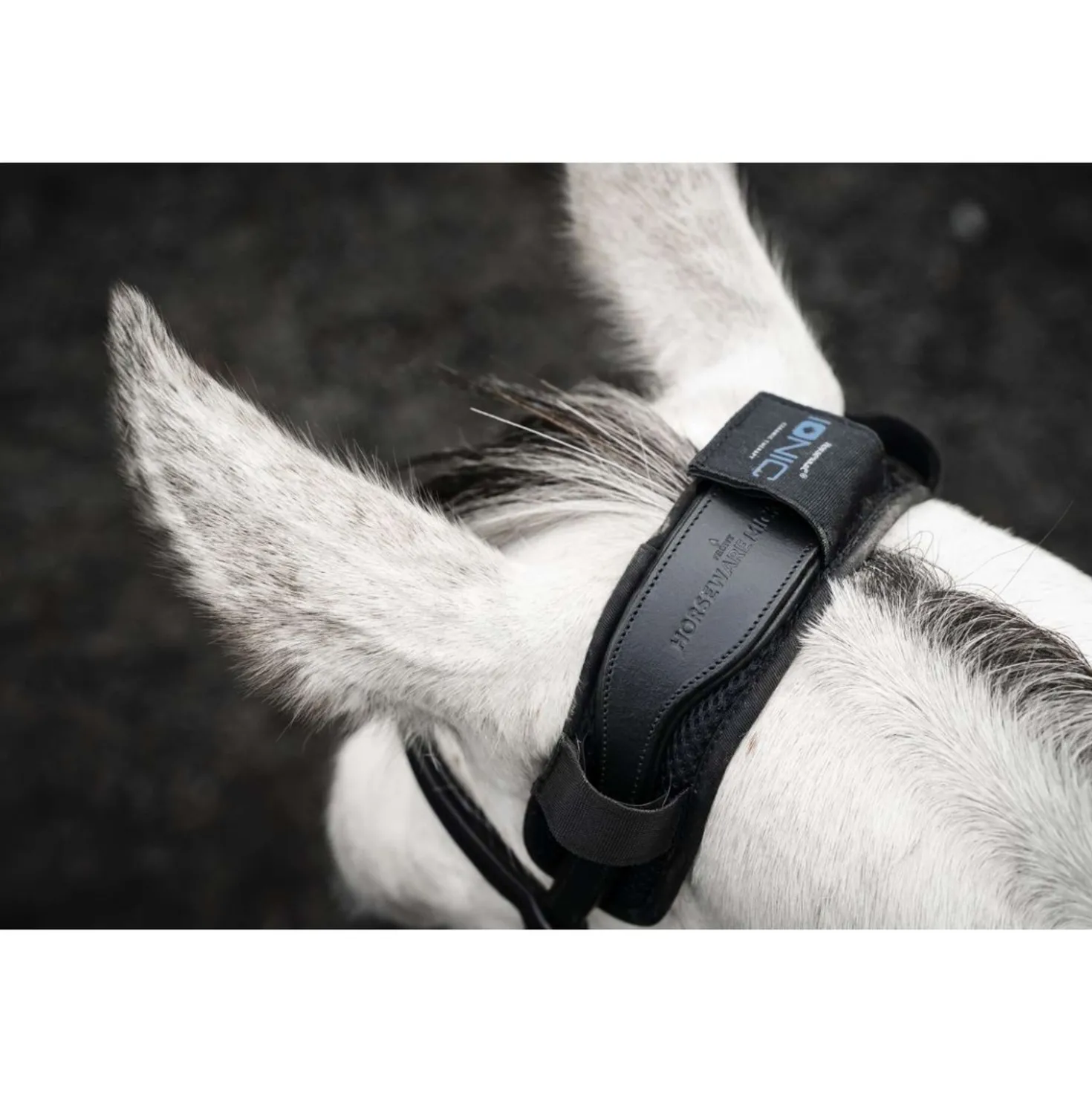 Horseware Kopstukbeschermer Ionic Zwart