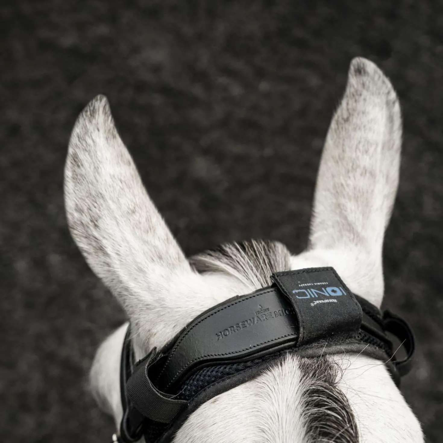 Horseware Kopstukbeschermer Ionic Zwart