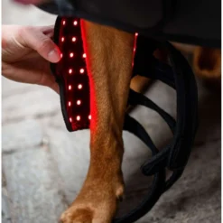 Horseware LED Red Light Therapy Pet Leg Wrap Zwart