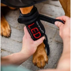Horseware LED Red Light Therapy Pet Leg Wrap Zwart