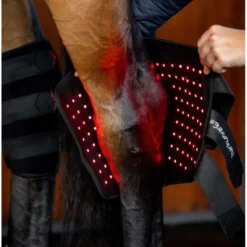 Horseware LED Red Light Therapy Right Hock Boot Zwart