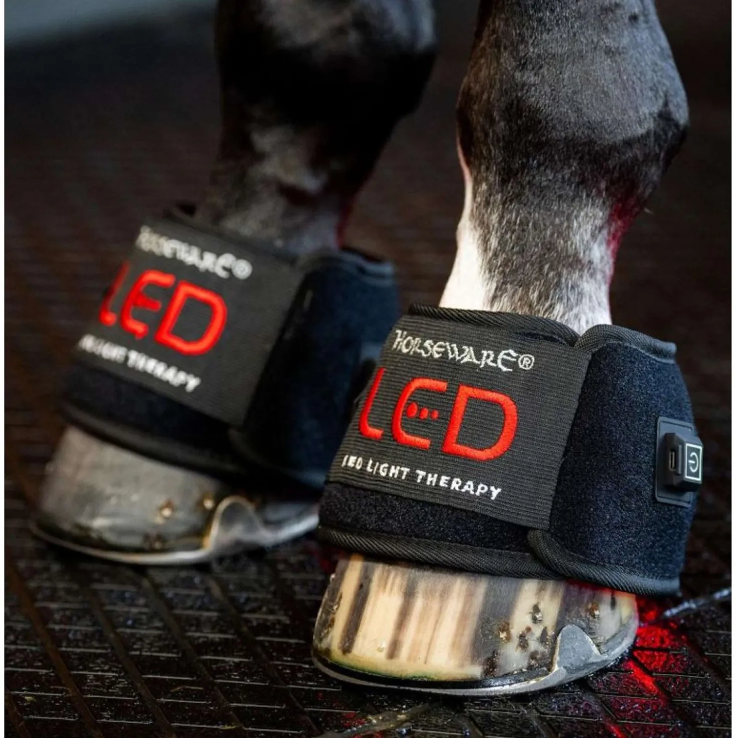 Horseware LED Red Light Therapy Mini Wrap Zwart