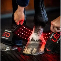 Horseware LED Red Light Therapy Mini Wrap Zwart