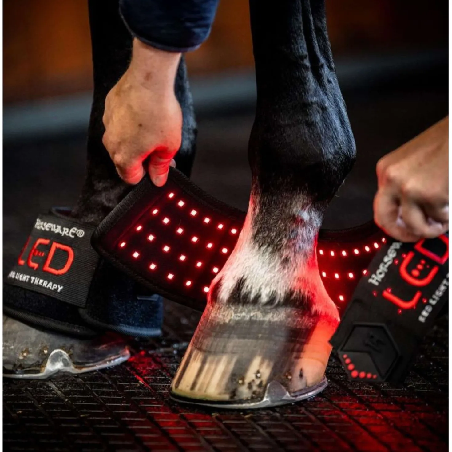 Horseware LED Red Light Therapy Mini Wrap Zwart