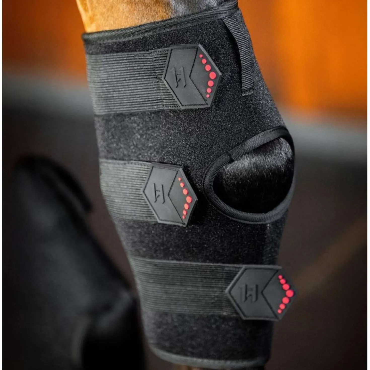 Horseware LED Red Light Therapy Left Hock Boot Zwart