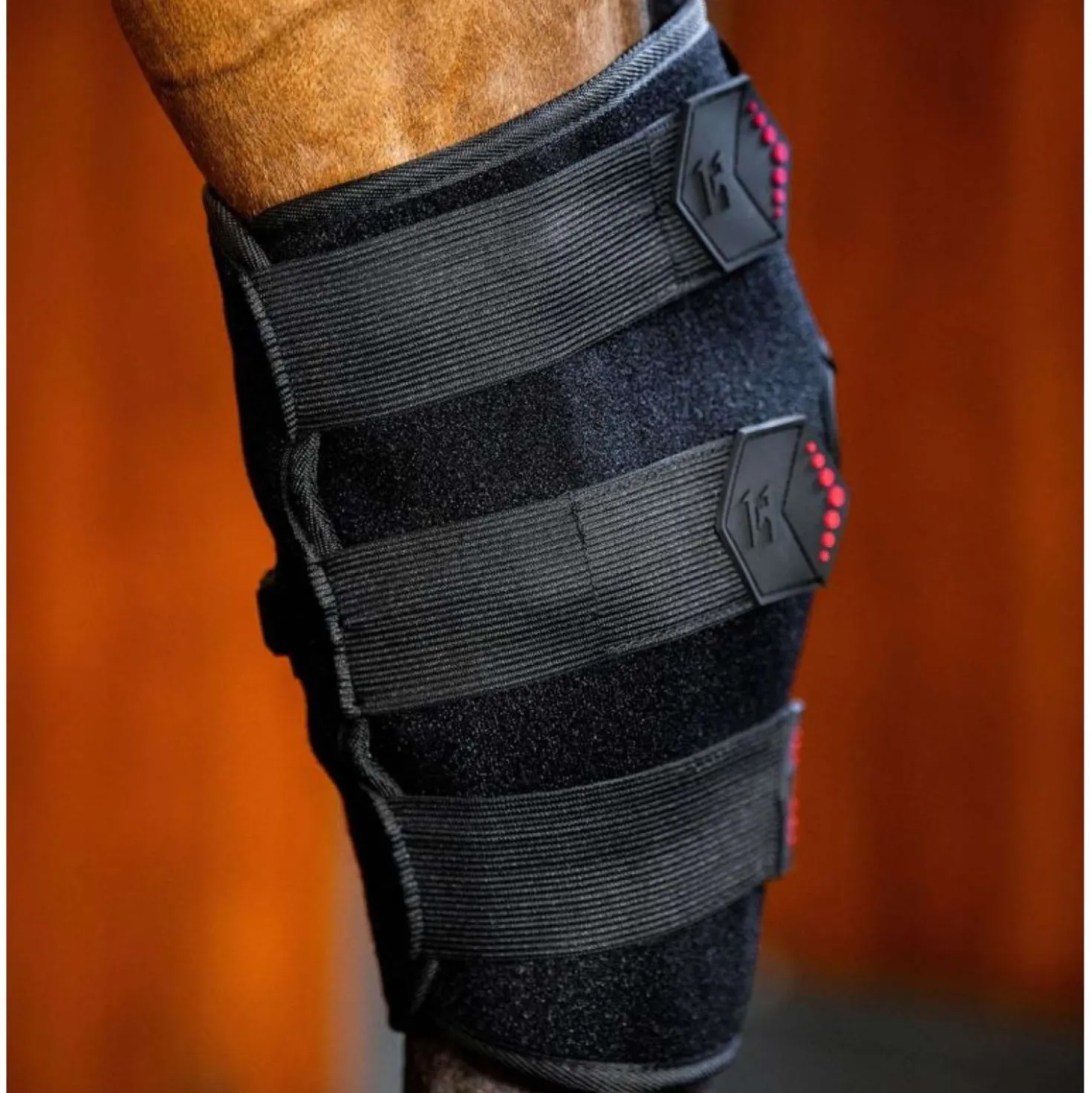 Horseware LED Red Light Therapy Left Hock Boot Zwart