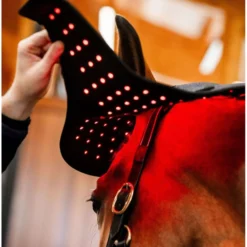 Horseware LED Red Light Therapy Poll Cap Zwart