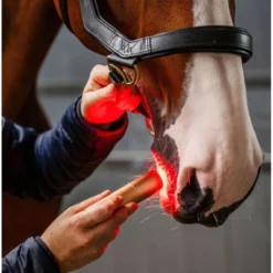 Horseware LED Red Light Therapy Wand Zwart