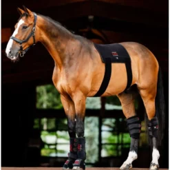 Horseware LED Red Light Therapy Pad Zwart