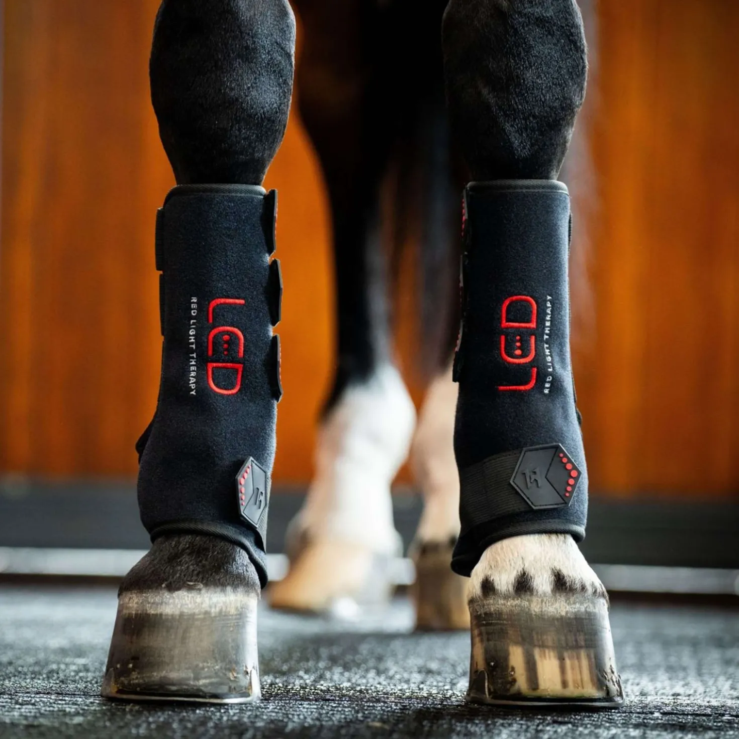 Horseware Leg Wraps LED Red Light Therapy Pair Zwart/Zwart