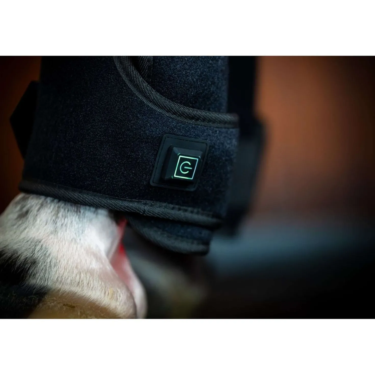 Horseware Leg Wraps LED Red Light Therapy Pair Zwart/Zwart
