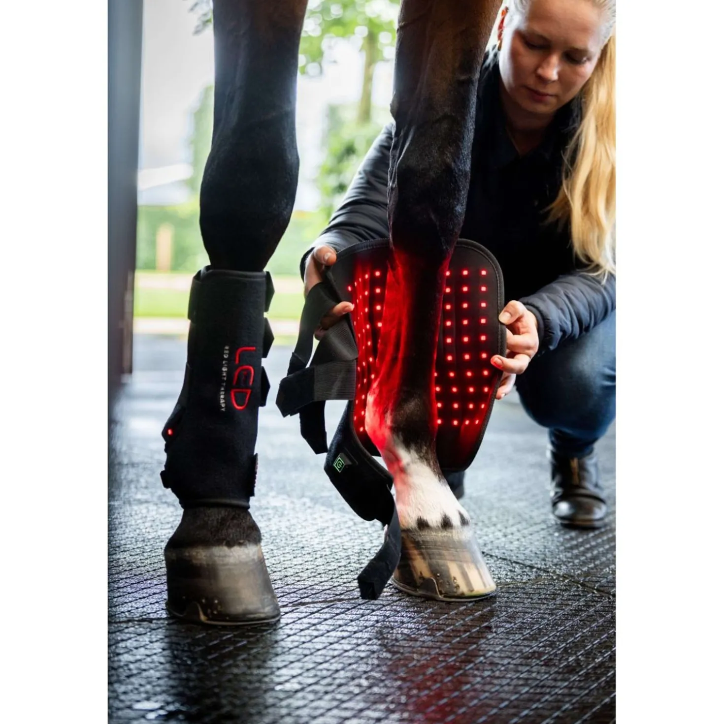 Horseware Leg Wraps LED Red Light Therapy Pair Zwart/Zwart