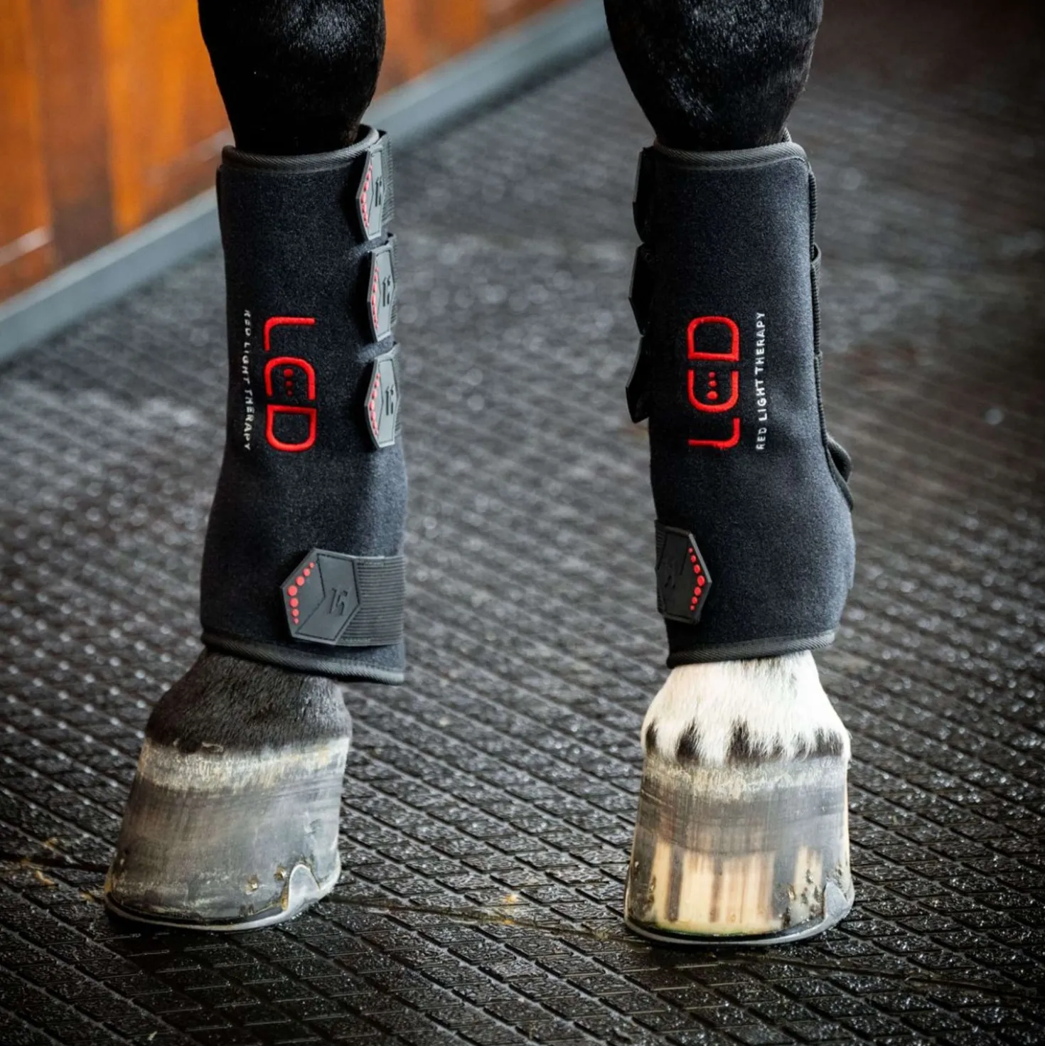 Horseware Leg Wraps LED Red Light Therapy Pair Zwart/Zwart