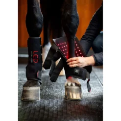 Horseware Leg Wraps LED Red Light Therapy Pair Zwart/Zwart
