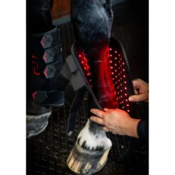 Horseware Leg Wraps LED Red Light Therapy Pair Zwart/Zwart