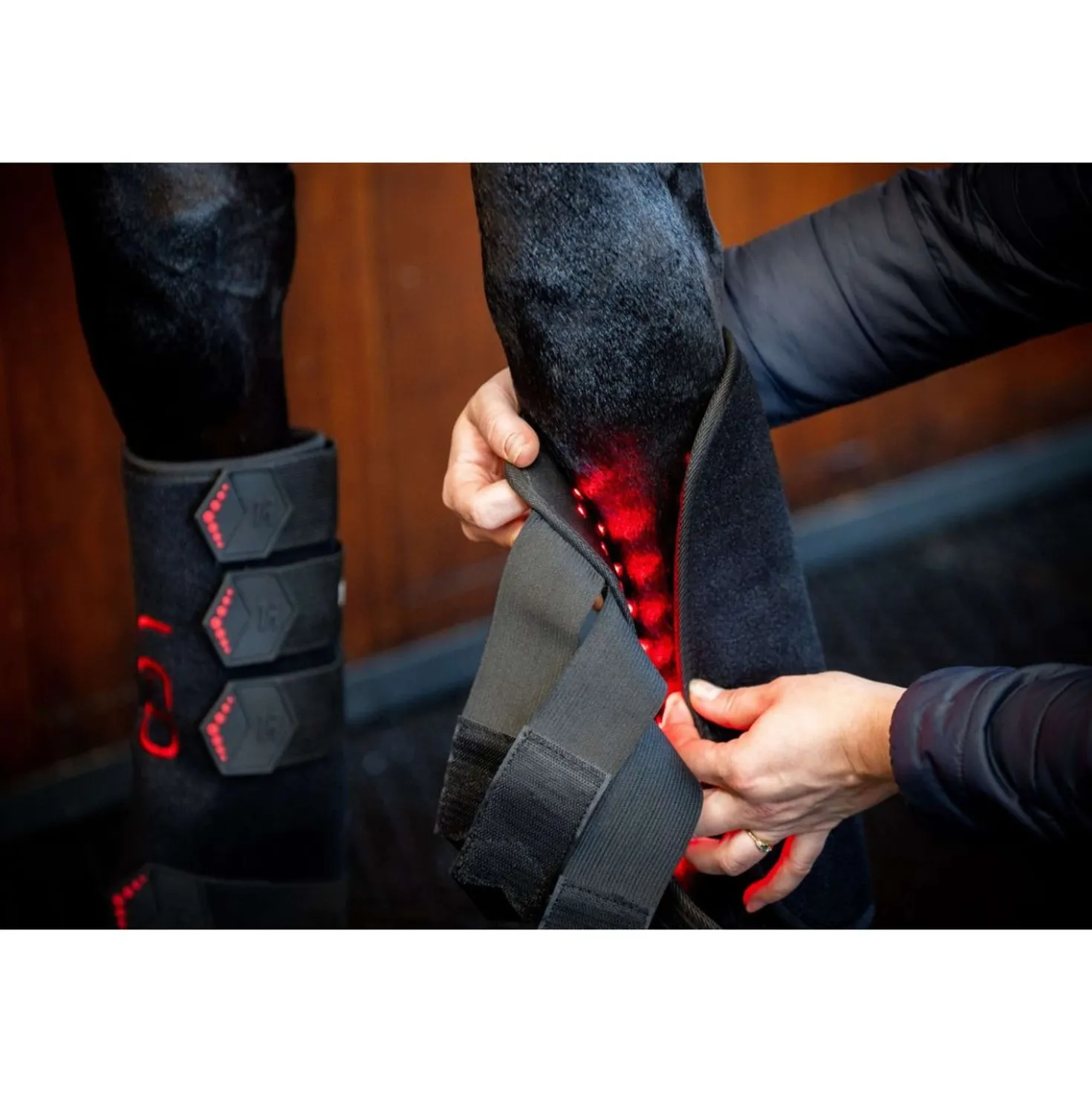 Horseware Leg Wraps LED Red Light Therapy Pair Zwart/Zwart