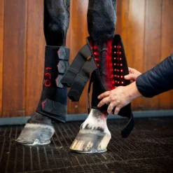 Horseware Leg Wraps LED Red Light Therapy Pair Zwart/Zwart