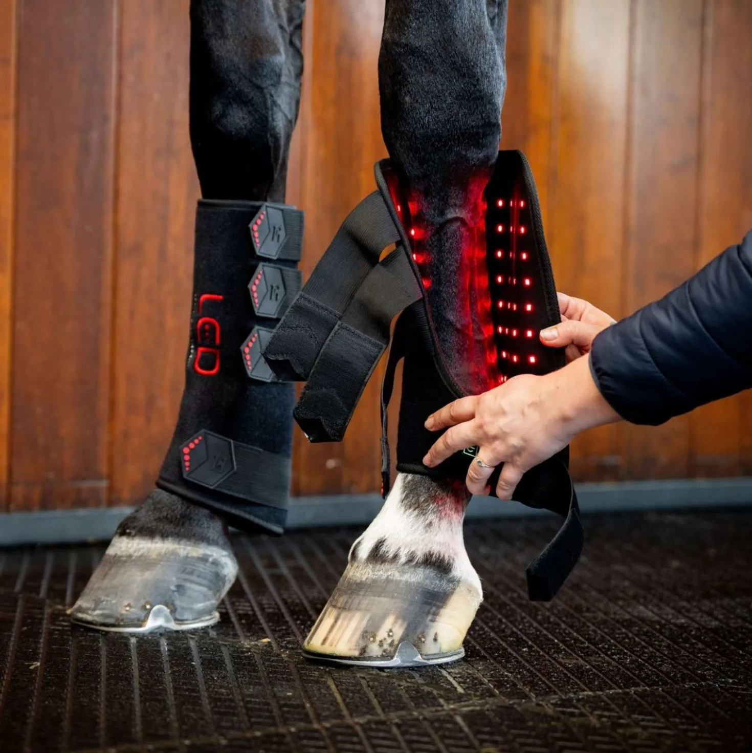 Horseware Leg Wraps LED Red Light Therapy Pair Zwart/Zwart