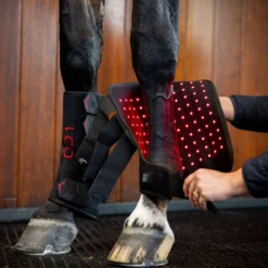 Horseware Leg Wraps LED Red Light Therapy Pair Zwart/Zwart
