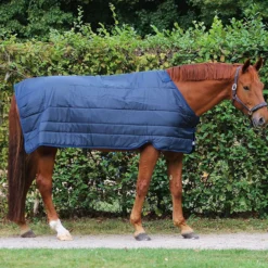 Horseware Liner 100g Navy