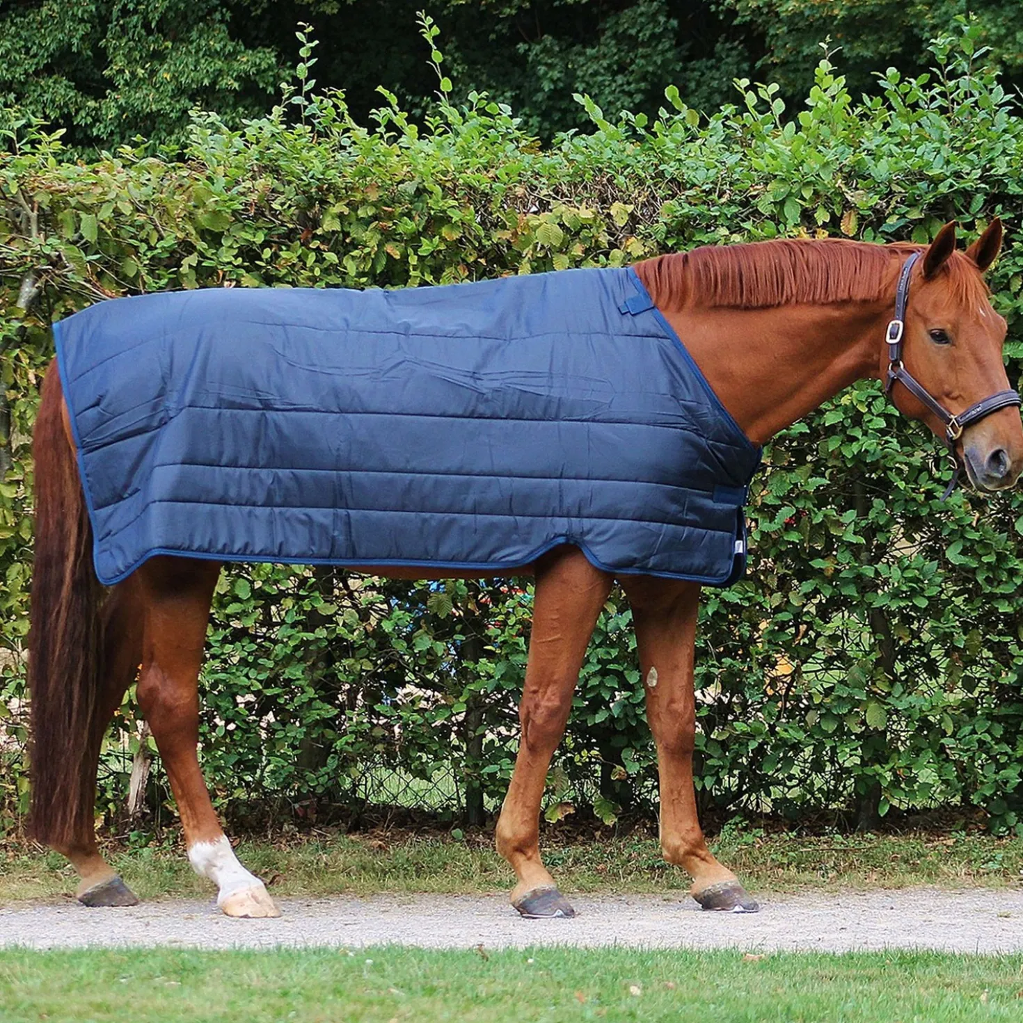Horseware Liner 100g Navy