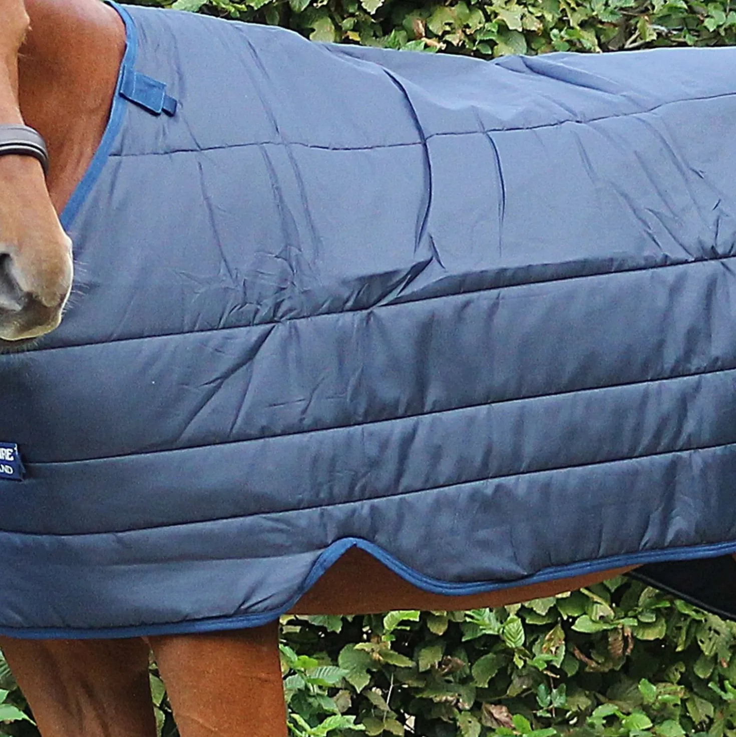 Horseware Liner 100g Navy