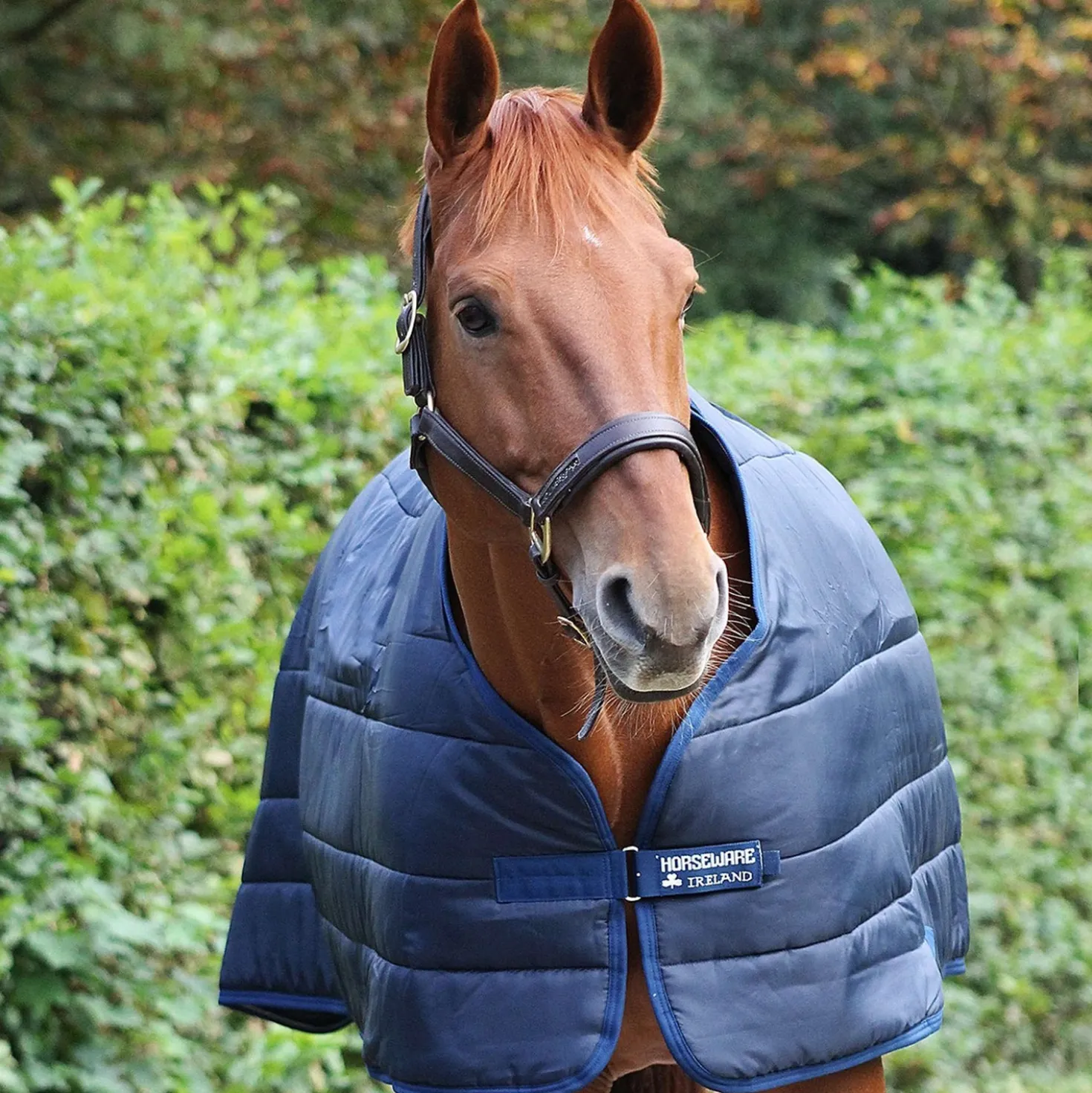 Horseware Liner 100g Navy