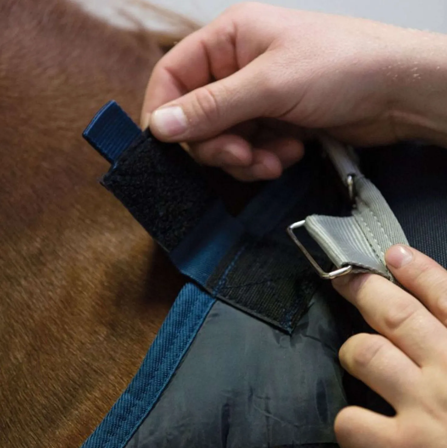 Horseware Liner 200g Navy