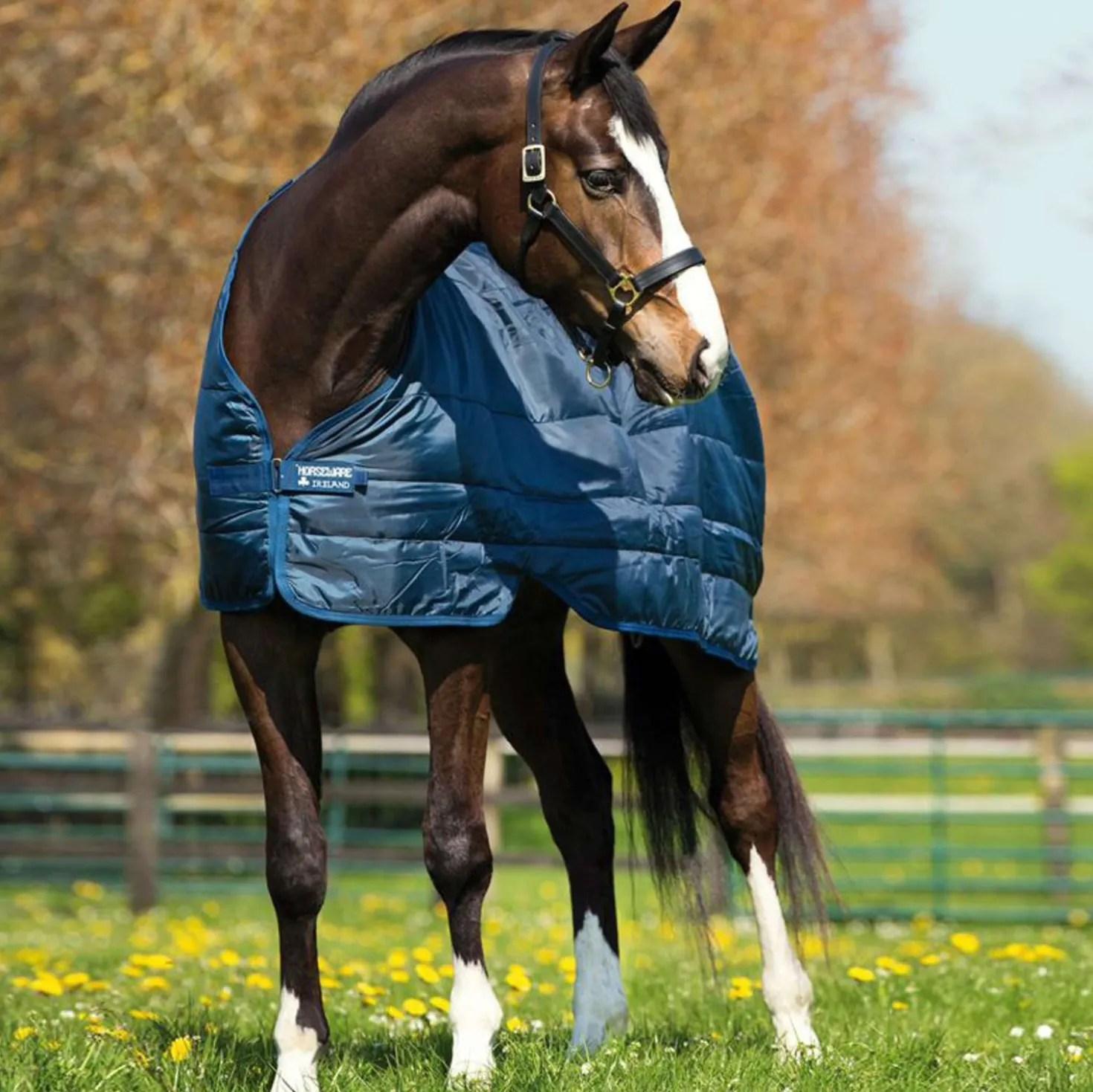 Horseware Liner 200g Navy