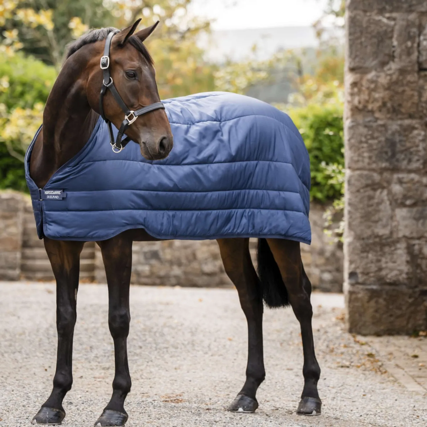 Horseware Liner 50g Navy