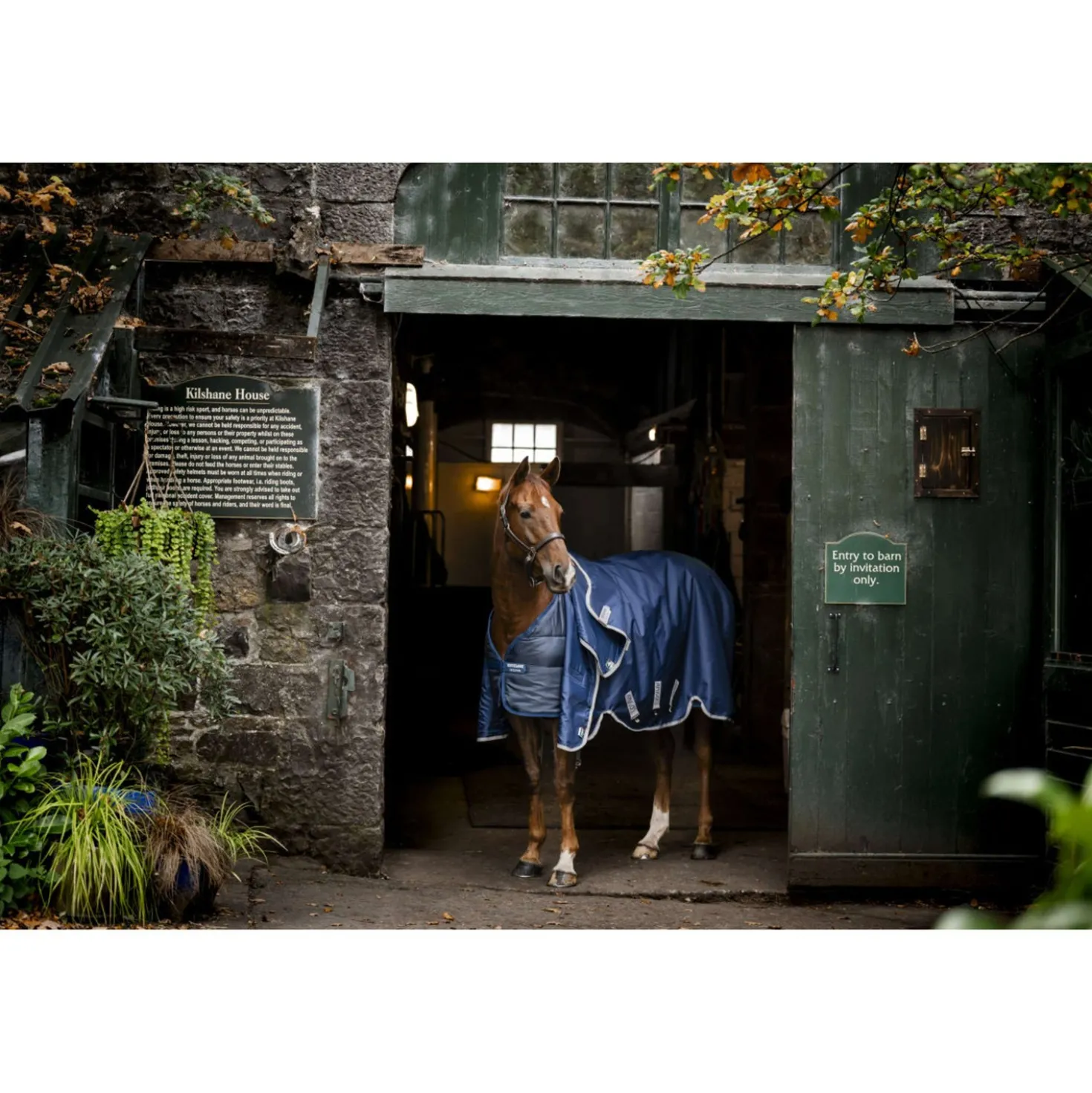 Horseware Liner 50g Navy