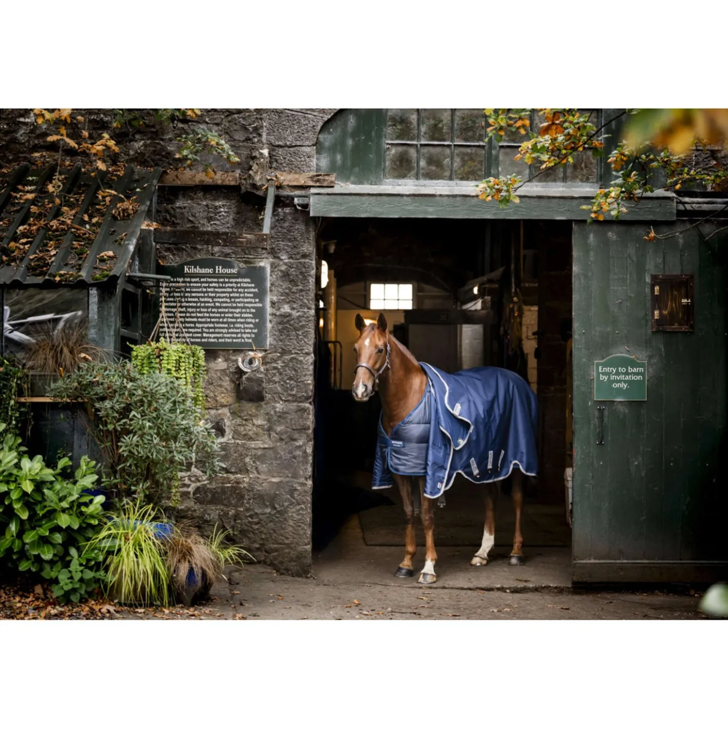 Horseware Liner 50g Navy