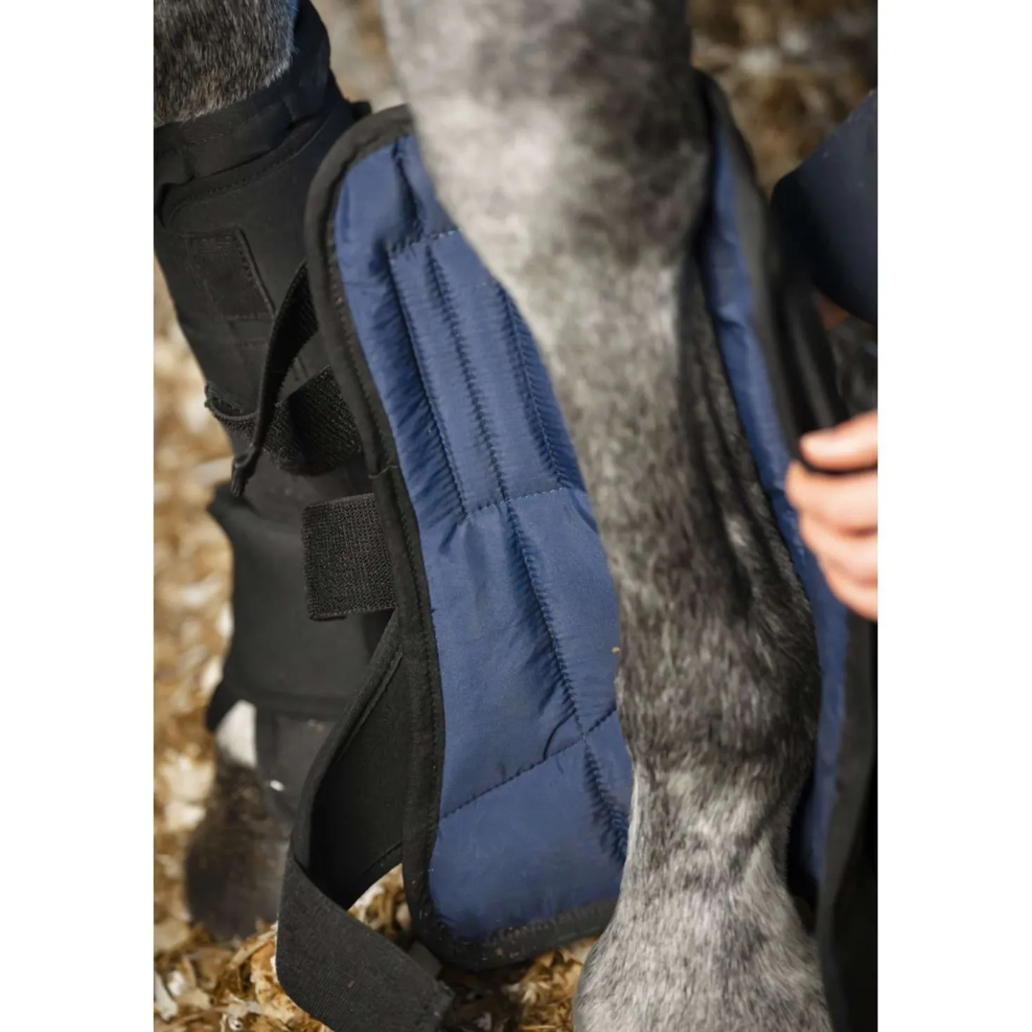 Horseware Liner Stable Boot Ionic Zwart