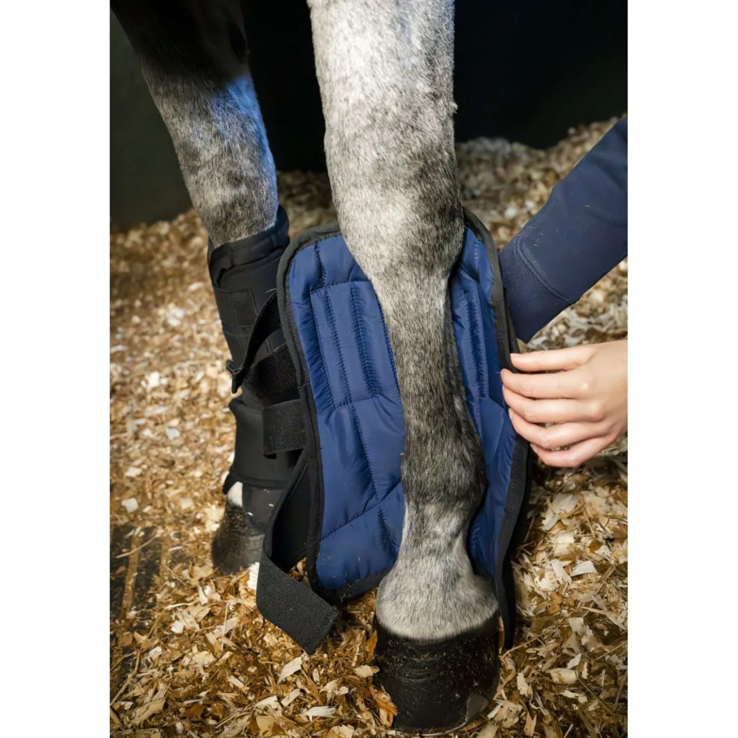 Horseware Liner Stable Boot Ionic Zwart