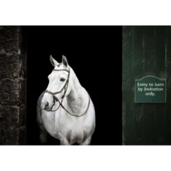 Horseware Micklem Bitless Bridle Bruin