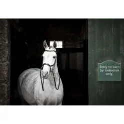 Horseware Micklem Bitless Bridle Zwart
