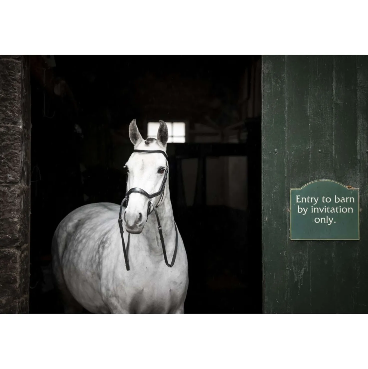 Horseware Micklem Bitless Bridle Zwart